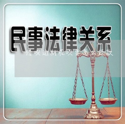 慘不忍睹 借唄逾期后，花唄該如何還款？一文講清方法與順序